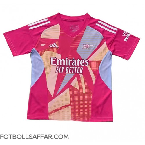 Arsenal Målvakt Bortatröja 2024-25 Kortärmad